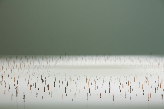 Sochy moderného umenia tvoria zábavné postavy Drevené sochy tvoria sochy mikrokozmu