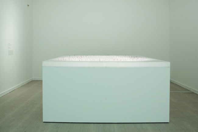 Osvetlená tabuľka výstavy výtvarnej inštalácie Výstava osvetlených stolných drevených figúrok