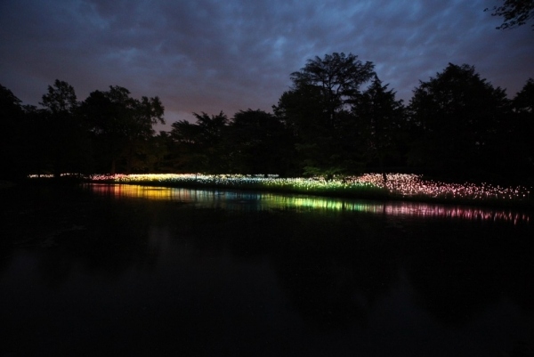 Inštalácia LED svetiel-Bruce Munro Inštalácie LED svetiel-Bruce Munro