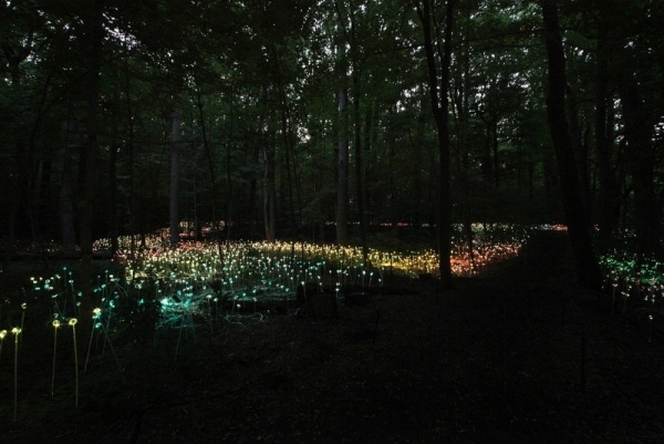 Umelecká inštalácia Bruce Munro Umelecká inštalácia Led Bruce Munro