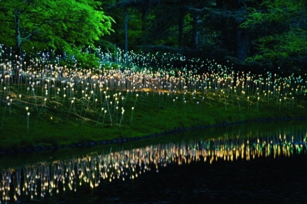 Bruce-Munro Design-Svietiaca lúka Bruce Munro Glowing Meadow Nature Design