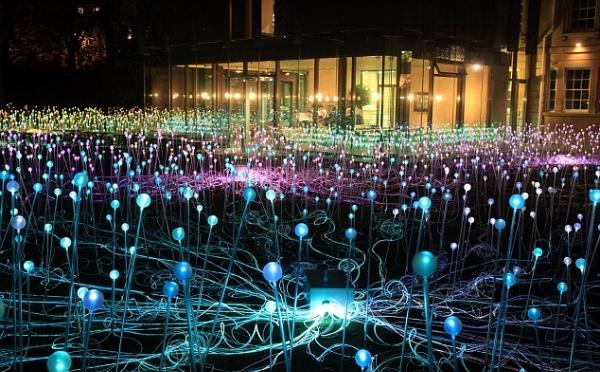 Svetelné záhrady-Inštalácia dizajnu-Bruce Munro Luminous Gardens-Design Installation-Bruce Munro Spojené kráľovstvo
