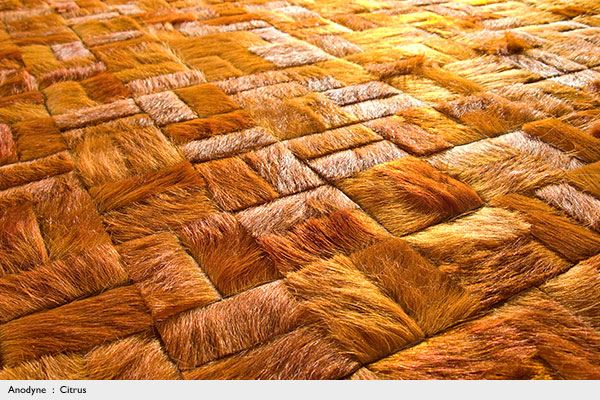 moderné-koberce-obloženie stien4 moderné-koberce-obloženie stien4