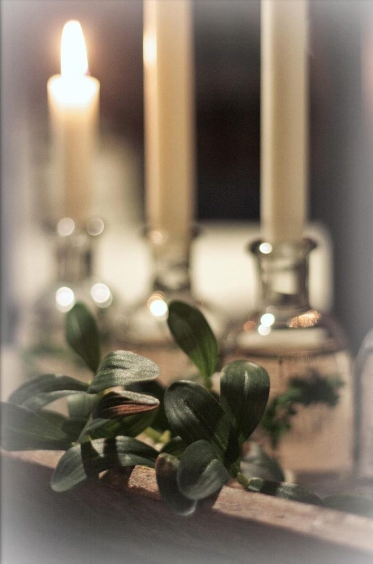 Svietniky vyrobené z fliaš, do ktorých sú vložené vodné rastliny adventný veniec-moderné-urob si sám-sviečky-poháre-vodné rastliny-nápad-dekorácia