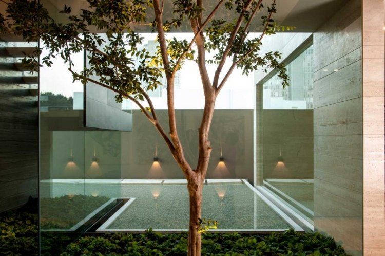 moderný dom-vnútorná-záhrada-strom-rybník