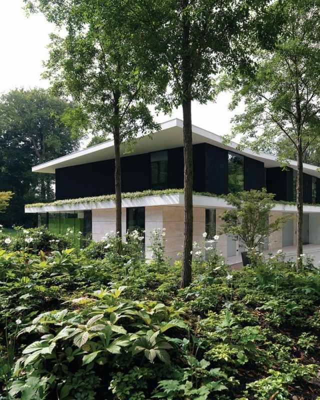 rodinný dom Holandsko lesná krajina otvorený pôdorys moderný rodinný dom holandsko lesná krajina otvorený pôdorys