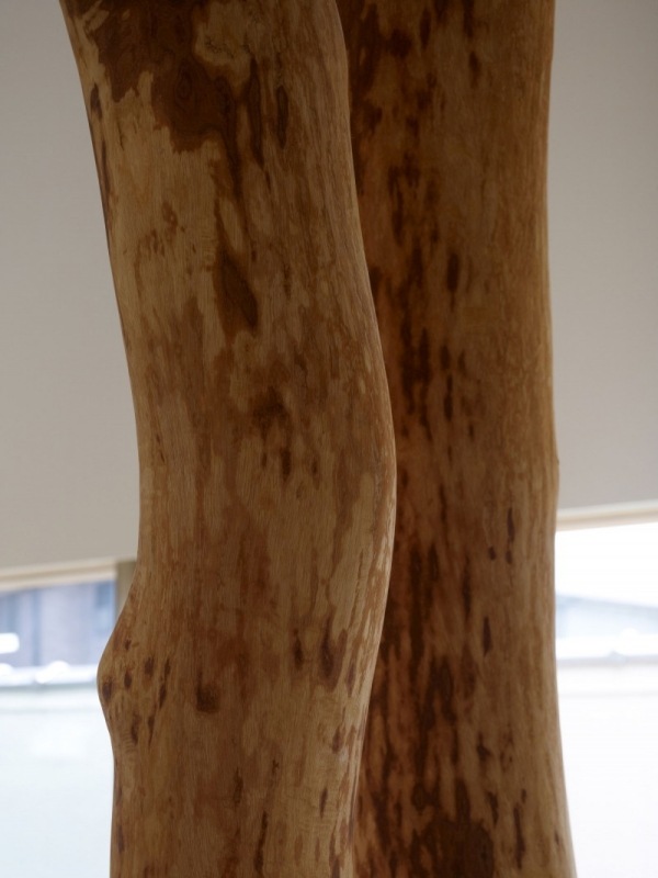 záhrada domu postavená okolo kmeňa stromu