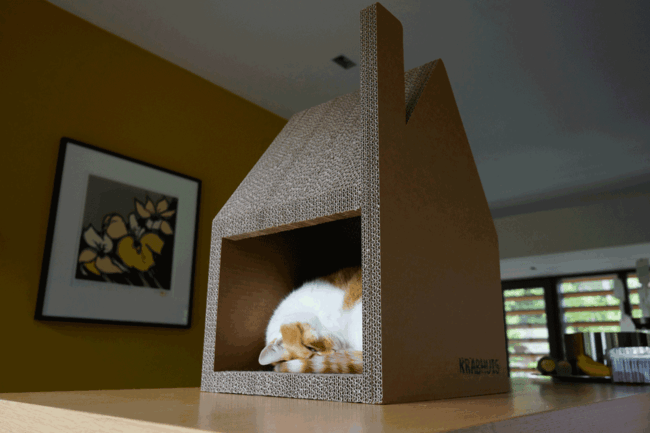 Tipy na starostlivosť o byt pre mačky vyzdvihnú pouličnú mačku Tipy na starostlivosť o pouličnú mačku vyzdvihnite kartónový dom