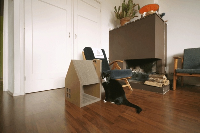 Kartónový domček pre mačky čiernobiely byt Tipy na domácu čiernobielu starostlivosť o byt