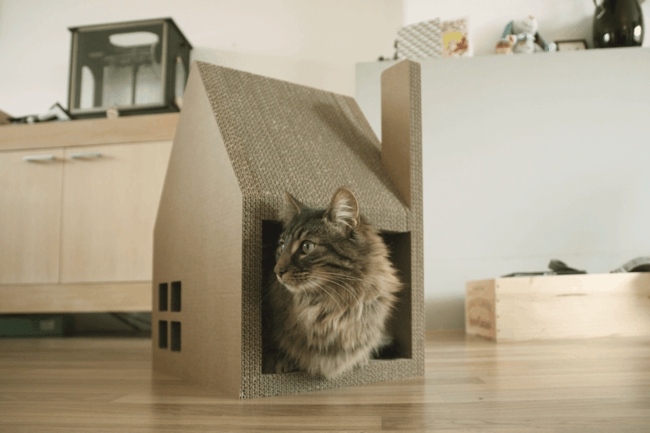 moderný škrabací domček pre mačky dlhosrstá mačka Škrabadlo s dlhou srsťou a rovnou drevenou podlahou