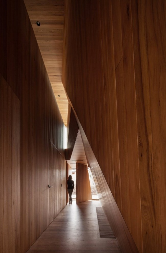 dom moderná architektúra chodba drevené obloženie john wardle architektúra domu chodba drevené obloženie john wardle