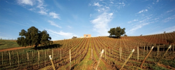 casa mirador moderný degustačný dom údolie Casablanca