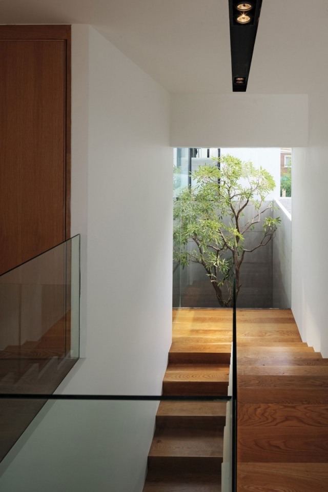 moderný dom bangkok sklenené zábradlie drevené schodisko strecha stromu