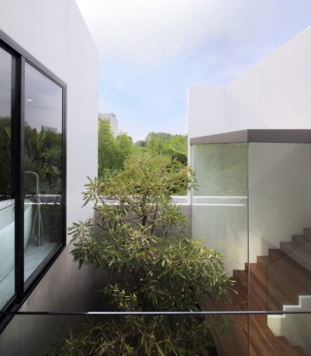 moderný rodinný dom presklené steny stromové nádvorie