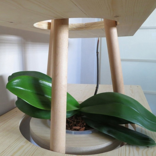 Regálový systém-moderný-masívne drevo-dub-integrovaný-kvetináč-udržateľne vyrábaný