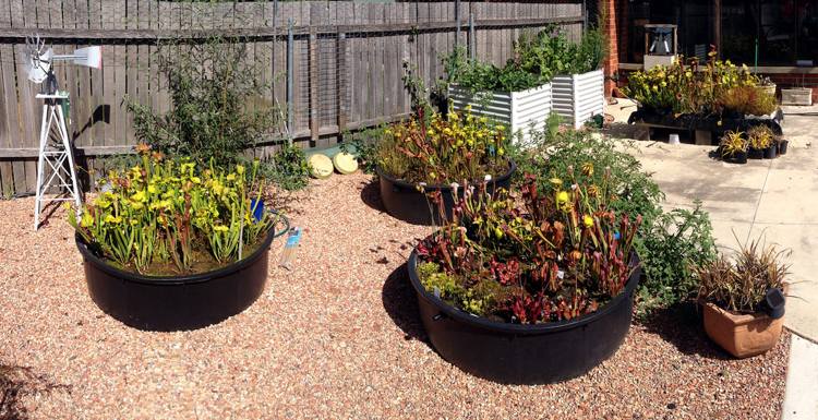 Vytvorte slatinnú posteľ - vo vani alebo v kvetinovej nádobe Vytvorenie špičiek bažiny, rastliny, kontajnera, okrúhlej vane