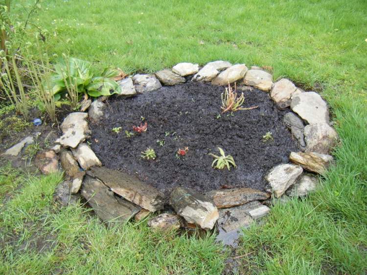 K mäsožravým v záhrade vysaďte bažinaté rastliny Vřesovisko-vytváranie-exotických-malých-rastlín-výsadba-dažďovej vody