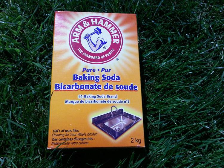 mach v trávniku domáci liek sóda kyslá pôda