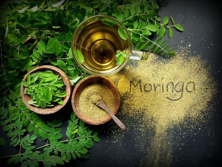 Moringa efekt zdravie cukrovka vysoký krvný tlak domáce opravné prostriedky