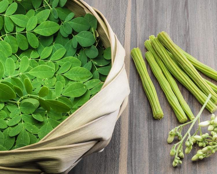 Moringa Olefeira vedľajšie účinky zdravého stravovania