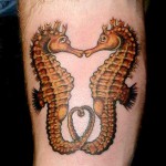 csikó tetoválás 1