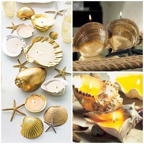 nápadná škrupina zlatého námorného zdobenia