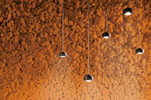 Inštalácia zelenej steny BennettiMOSS na čistenie vzduchu-lišajník