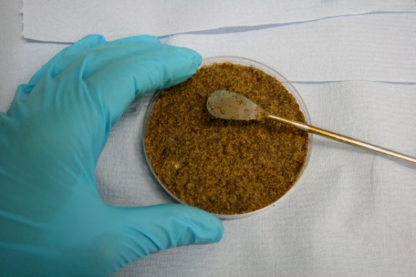 Inovatívna technológia v 3D tlačiarni obrovských baktérií-laboratórium Magnus Larsson