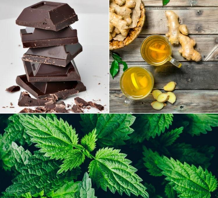 Prírodné riedidlá krvi - tmavá čokoláda a kakao, zázvor a žihľava