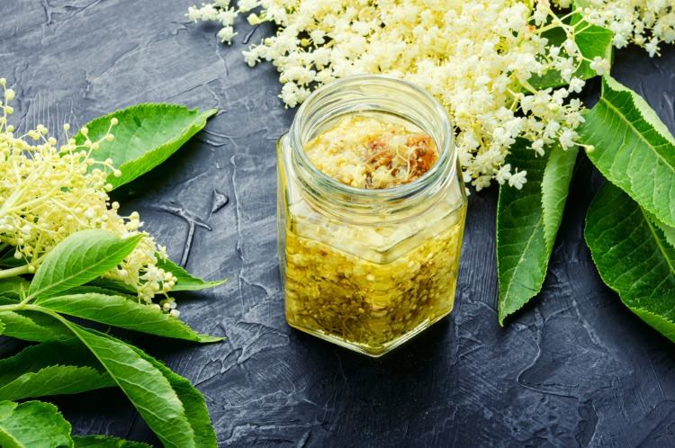 namočené kvety ako prípravok bezovej šťavy s mnohými zdravotnými výhodami