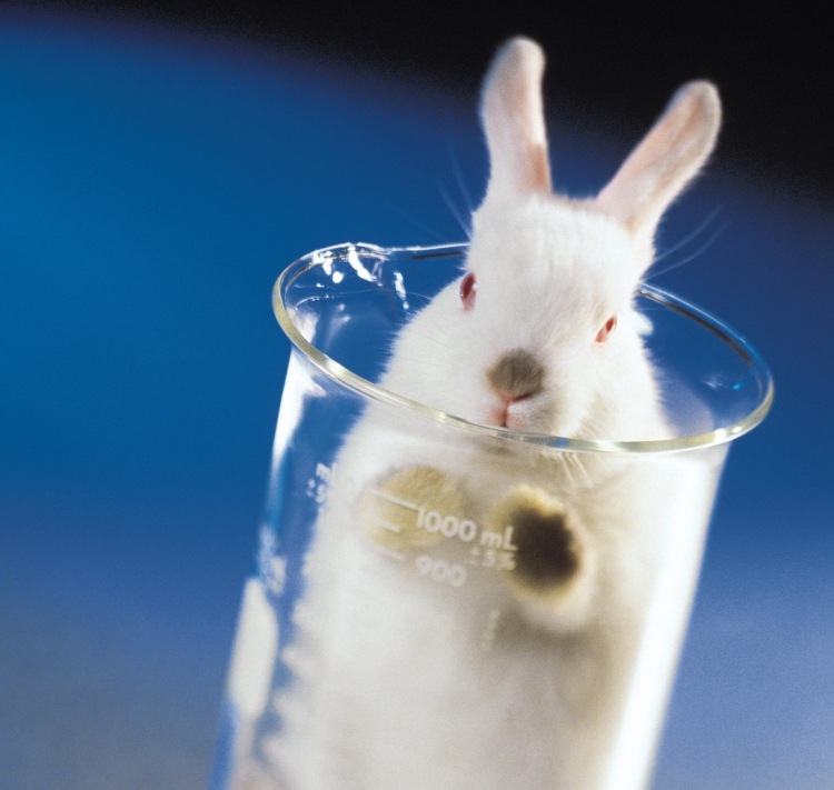 testovanie na prírodnej kozmetike na zvieratách zakázané