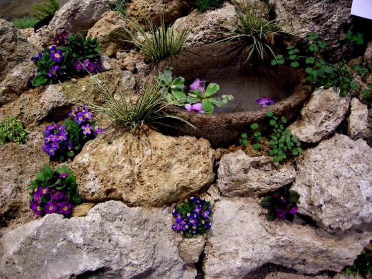 sadrokartón-výsadba-prvosienky-tieň