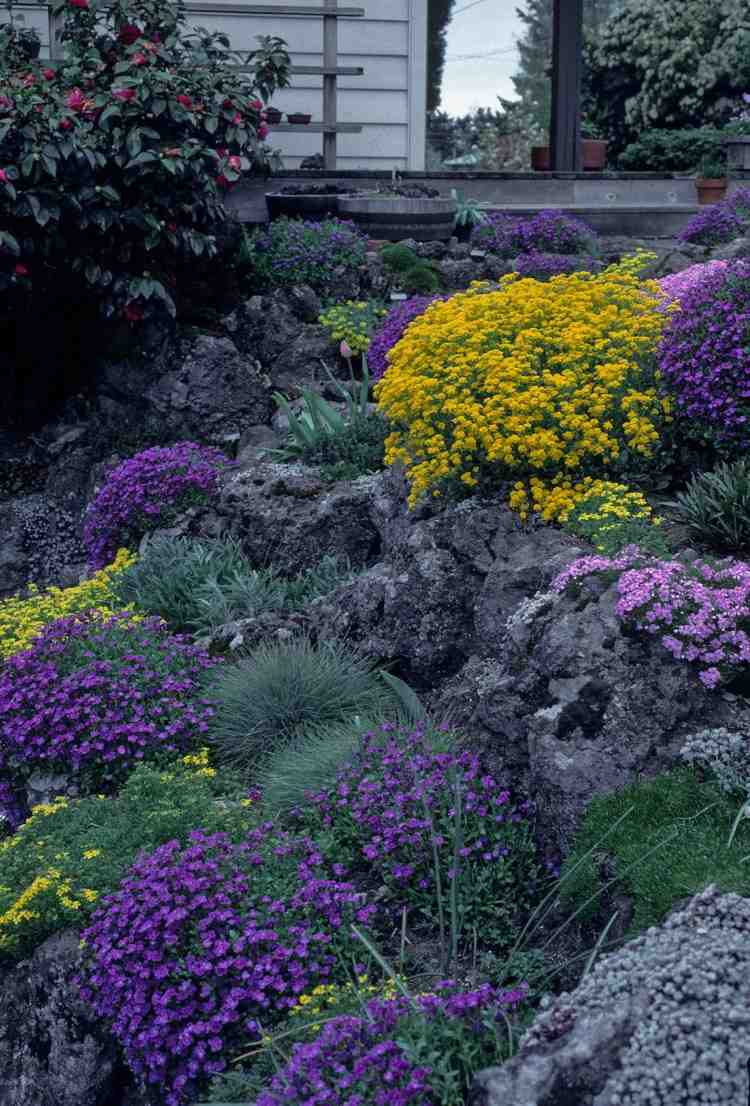 sadrokartónové dosky-výsadba-skalky-modré-vankúše