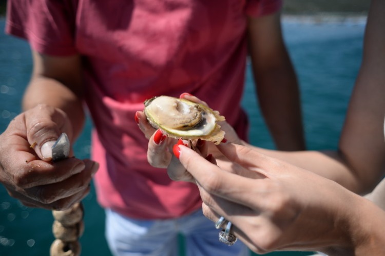 Bojujte proti symptómom nedostatku živín s obohatenými mušľami a ustricami