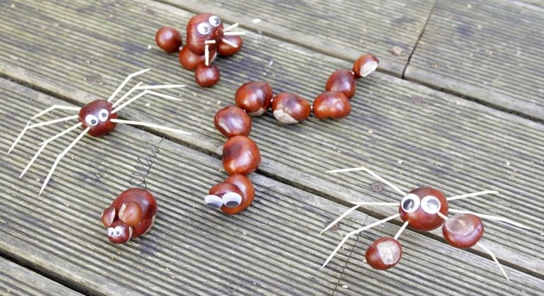 Vtipné gaštanové zvieratká drotári s deťmi - húsenica a pavúk so špáradlami