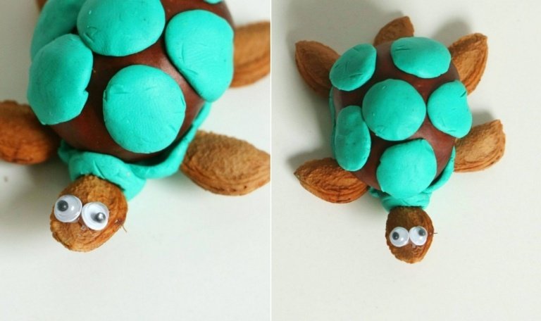 Vyrobte si vlastnú korytnačku z gaštanov, marhuľových jadier a tyrkysovej hliny