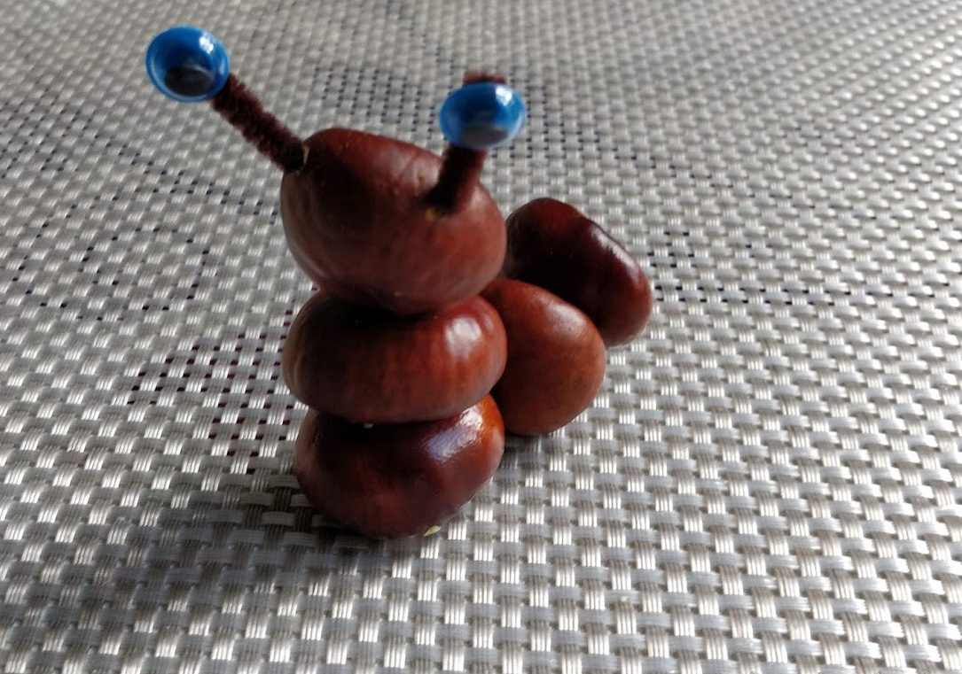 Nápady na výrobu gaštanových zvierat pre nudibranch s modrými anténami