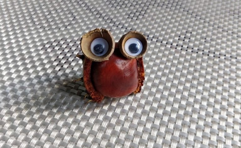 Vyrobte si vlastnú sovu s pohárom žaluďa a gaštanovou škrupinou