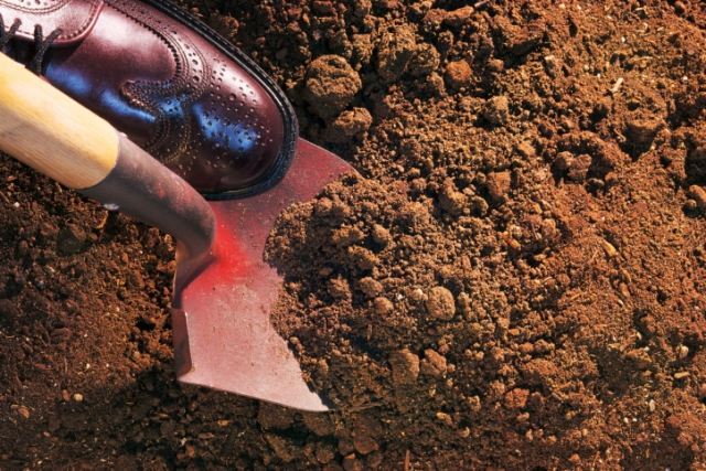 Hnojivo pre záhradnú pôdu naberajte mesiace