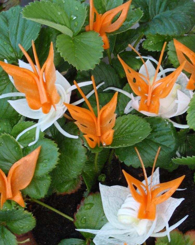 ovocie-rezba-mrkva-motýle