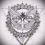 old school tetoválás vázlatok bagoly 6