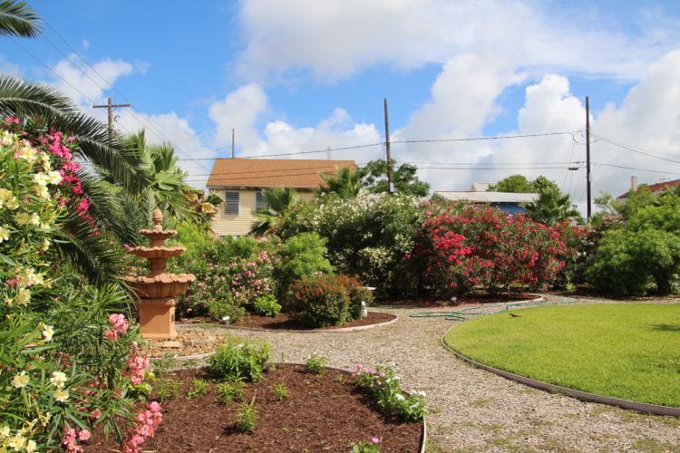 Nápady na záhradu kroviny rezané oleandrom