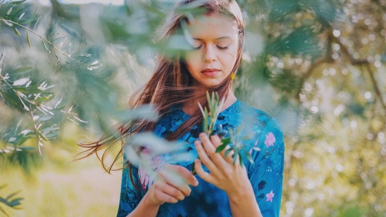 Olivovník v záhrade prezimuje, ako často polievať