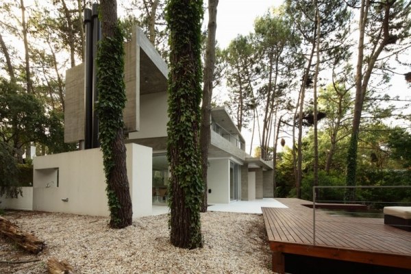 Chata v lese argentína zarastené stromy bazén Chata v lese argentína zarastená stromami