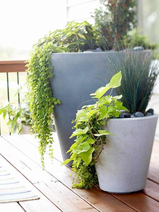 Krásne kvetináče zdobiace záhradnú vázu