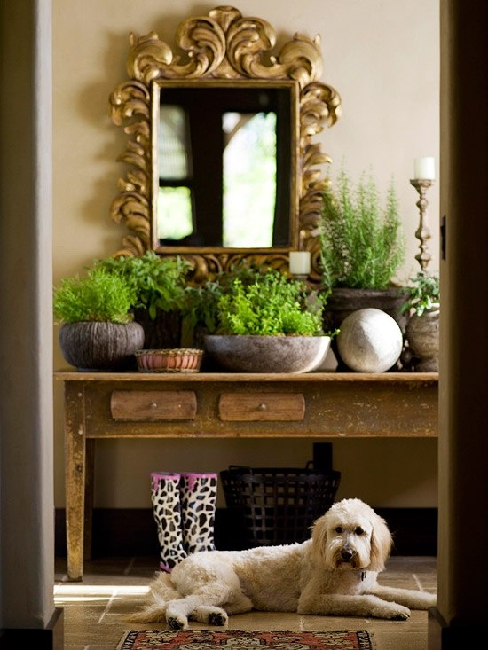 Foyer interiérového dizajnu záhrady