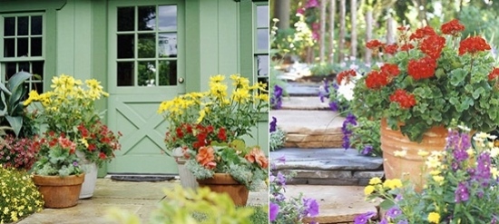 Bujné výsadby okenných boxov na dvore