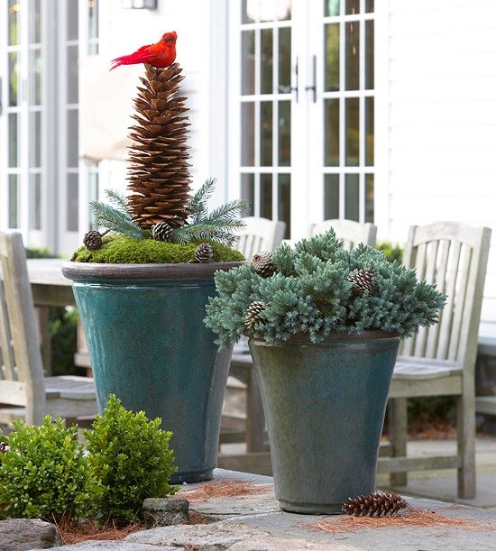 Stálezelené rastliny Nápady na usporiadanie kvetináčov