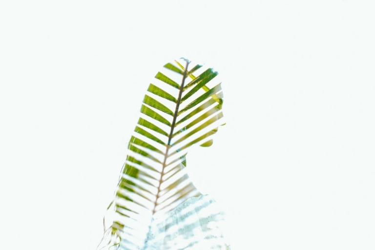 Minimalistický svadobný obrázok so zeleným listom a nevestou