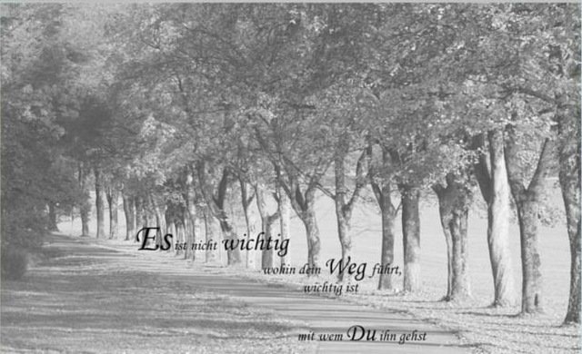 Svadobné priania a citáty stromy pešo park Chystáte sa na cestu-pre-dvoch-svadobných prianí